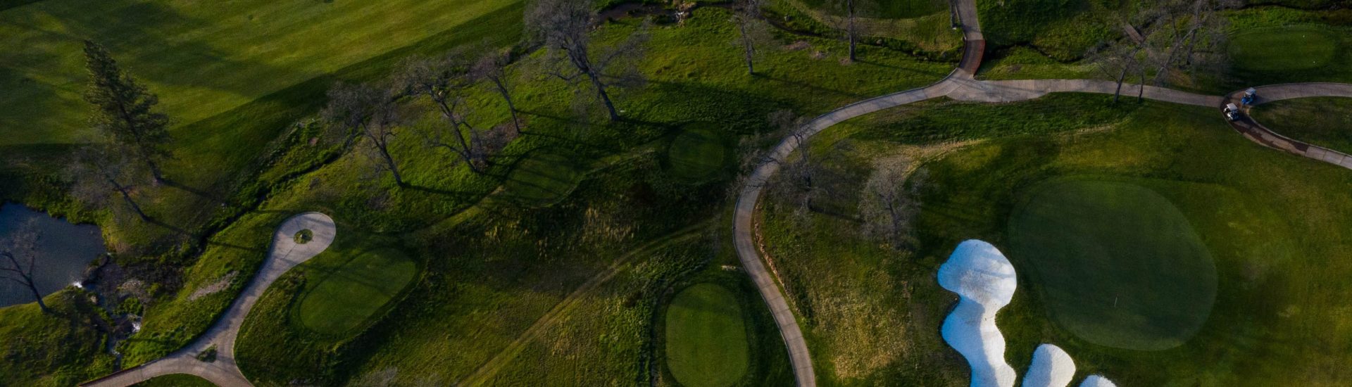 DarkHorse Golf Club - Photo 4