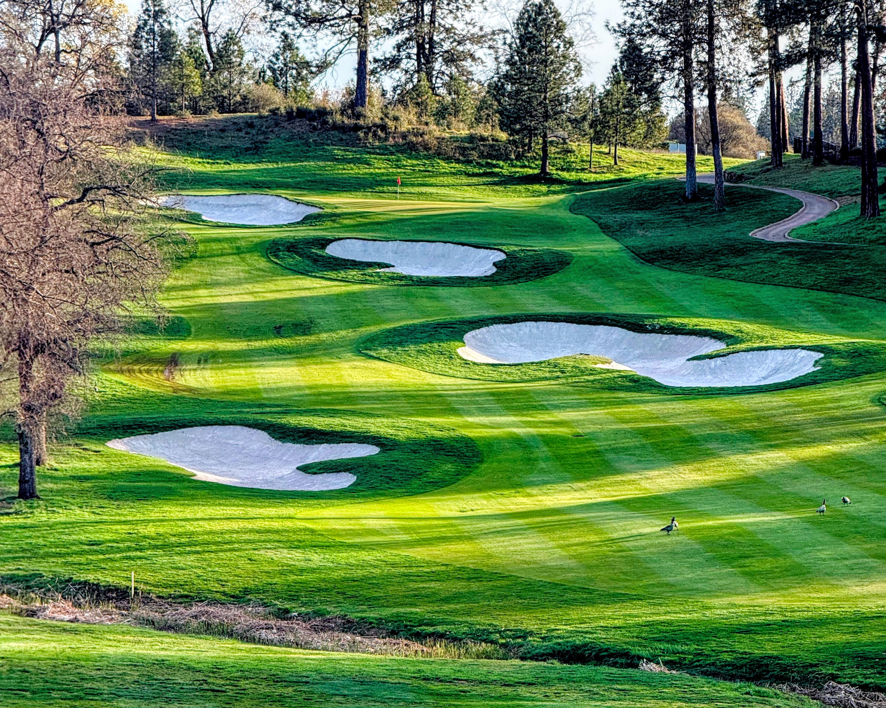DarkHorse Golf Club - Photo 3